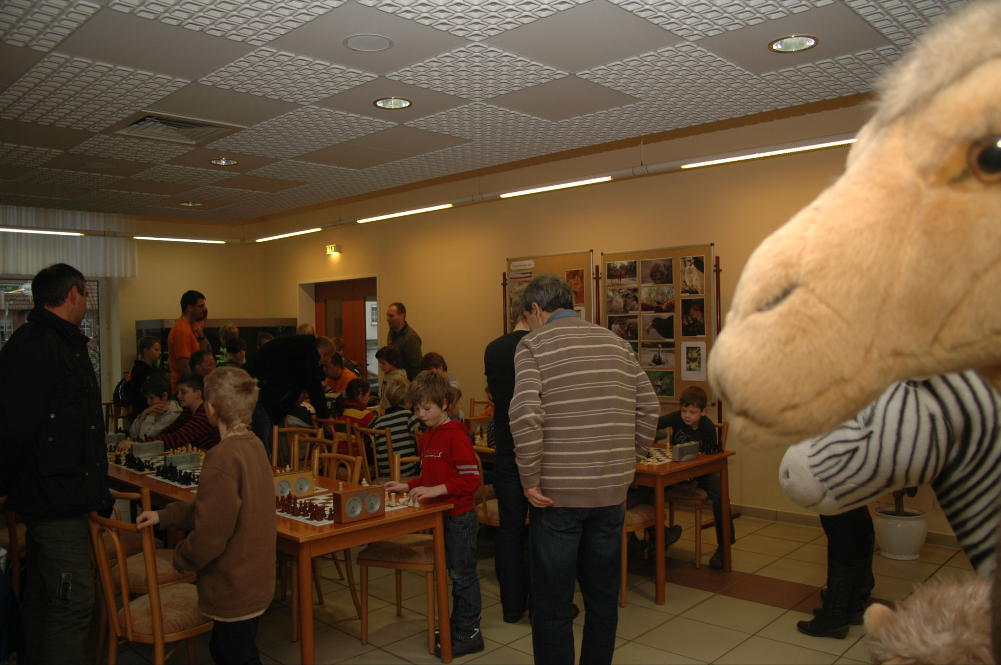 Vorschau